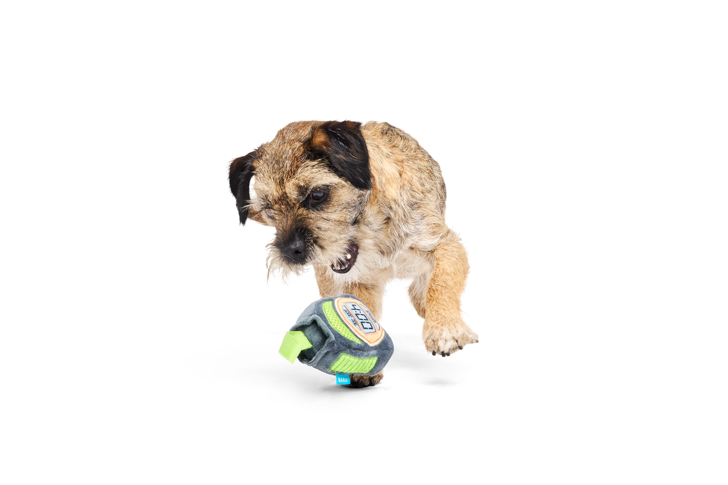 BARK X Crufts Personal Beast Play Timer Dog Toy