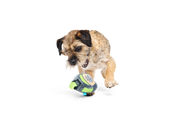 BARK X Crufts Personal Beast Play Timer Dog Toy