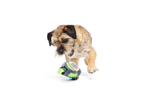 BARK X Crufts Personal Beast Play Timer Dog Toy