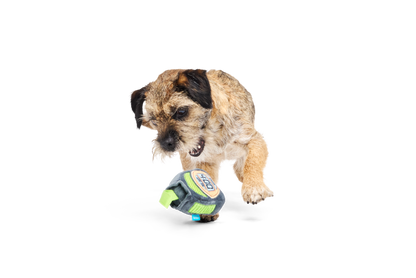 BARK X Crufts Personal Beast Play Timer Dog Toy