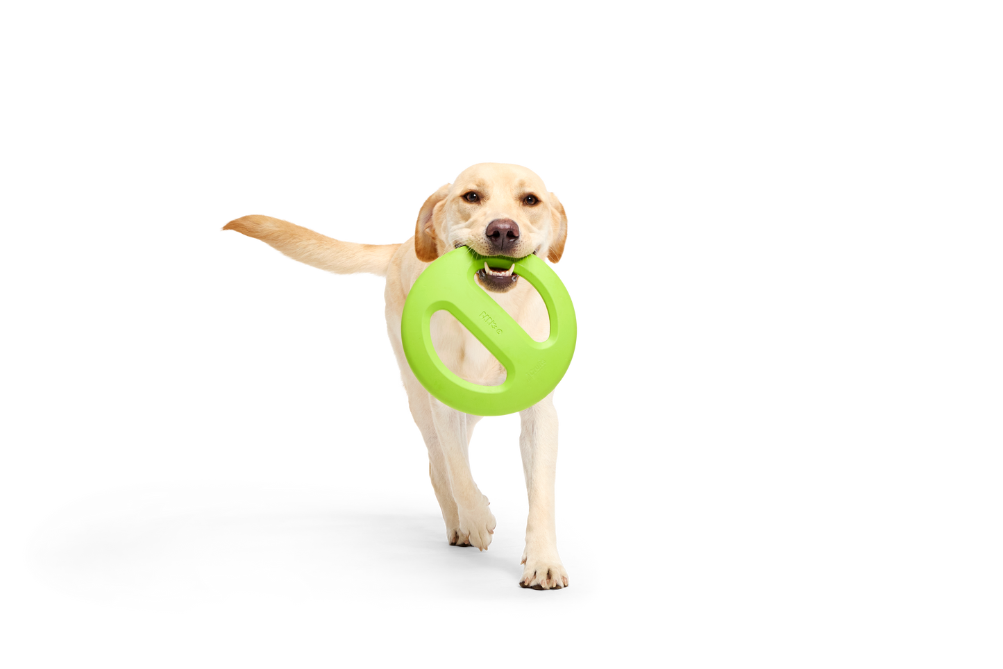 BARK X Crufts Aviator Dog Toy