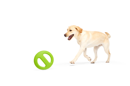 BARK X Crufts Aviator Dog Toy