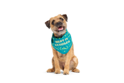 BARK X Crufts Winner's Bandana Dog Toy