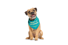 BARK X Crufts Winner's Bandana Dog Toy