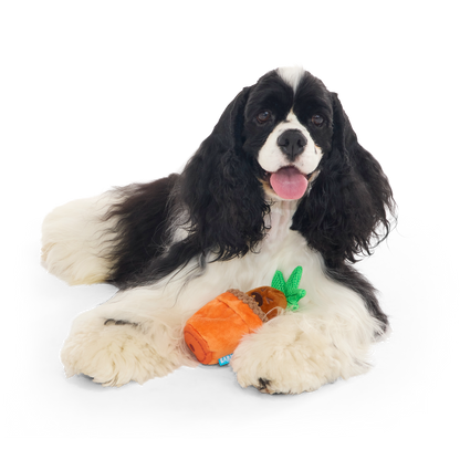 BARK X Harry Potter Mandrake Dog Toy