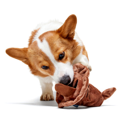 BARK X Harry Potter Sorting Hat Dog Toy