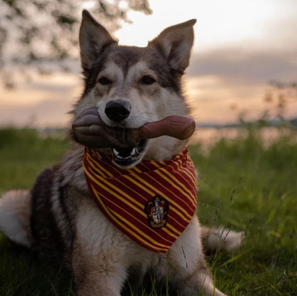 BARK X Harry Potter Nimbus 2000 Rubber Dog Toy