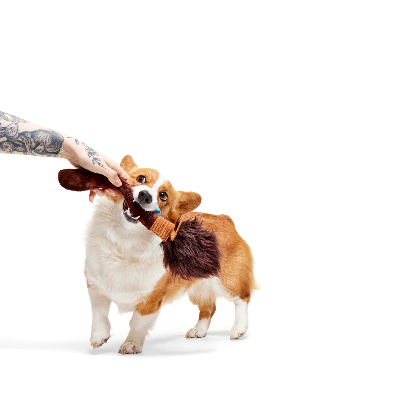 BARK X Harry Potter Nimbus 2000 Dog Toy