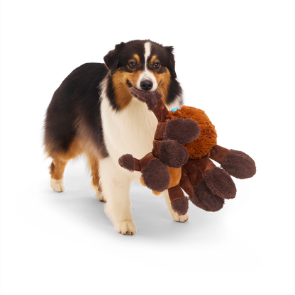 BARK X Harry Potter Aragog Dog Toy