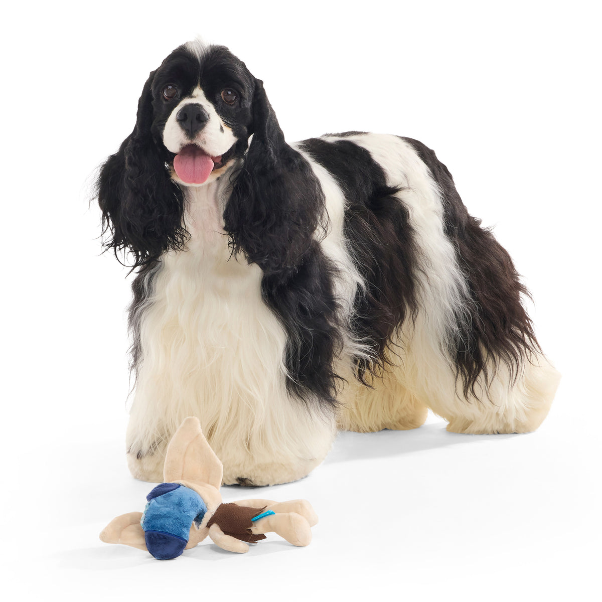 BARK x Harry Potter Dobby Crinkle and Squeak Dog Toy