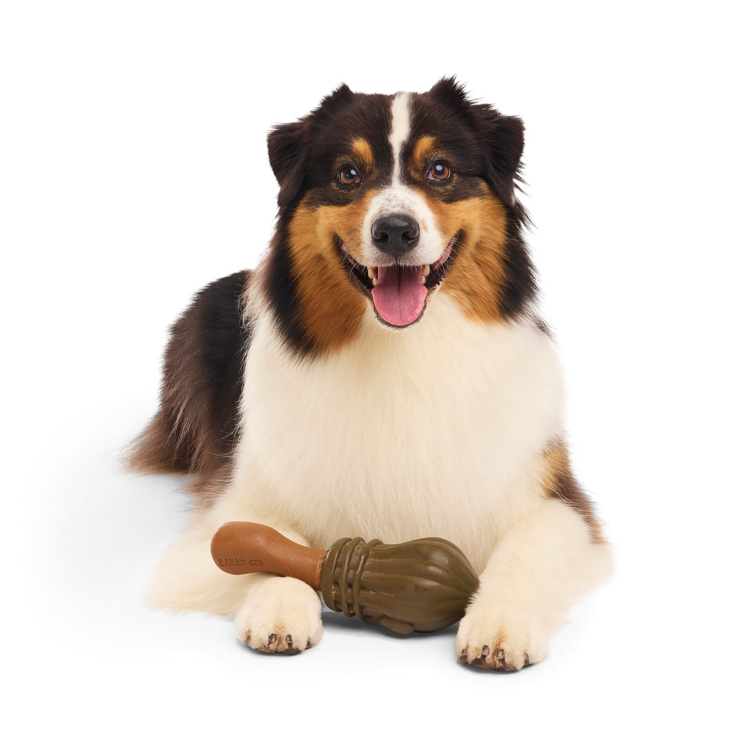 BARK X Harry Potter Nimbus 2000 Dog Toy