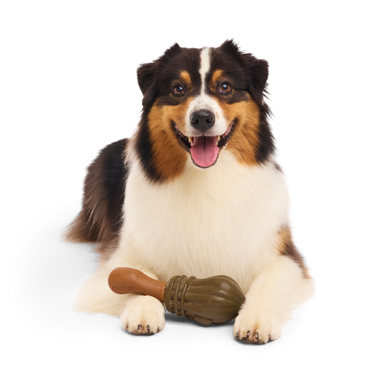 BARK X Harry Potter Nimbus 2000 Dog Toy