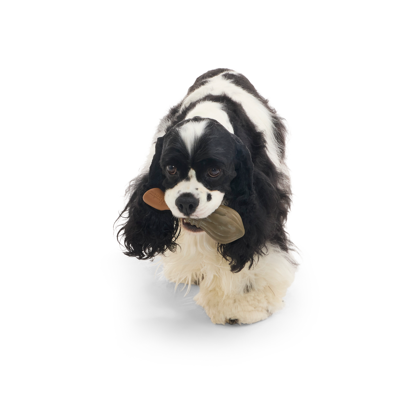 BARK X Harry Potter Nimbus 2000 Dog Toy