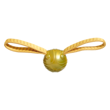 BARK X Harry Potter The Golden Snitch Dog Toy