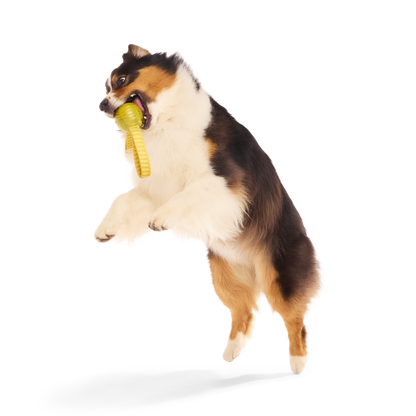 BARK X Harry Potter The Golden Snitch Dog Toy