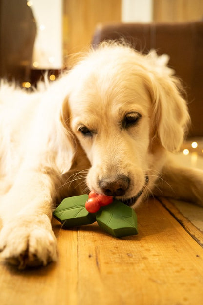 Petface Christmas Latex Holly Dog Toy