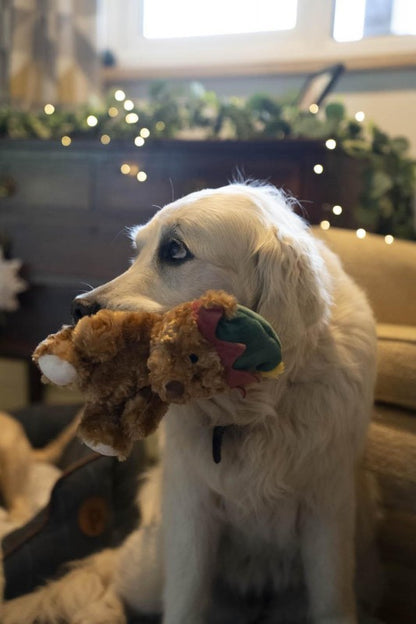 Petface Christmas Carley Curly Teddy With Elf Hat Dog Toy