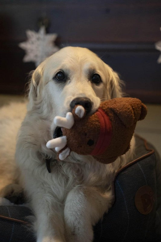 Petface Christmas Ronee Reindeer Dog Toy