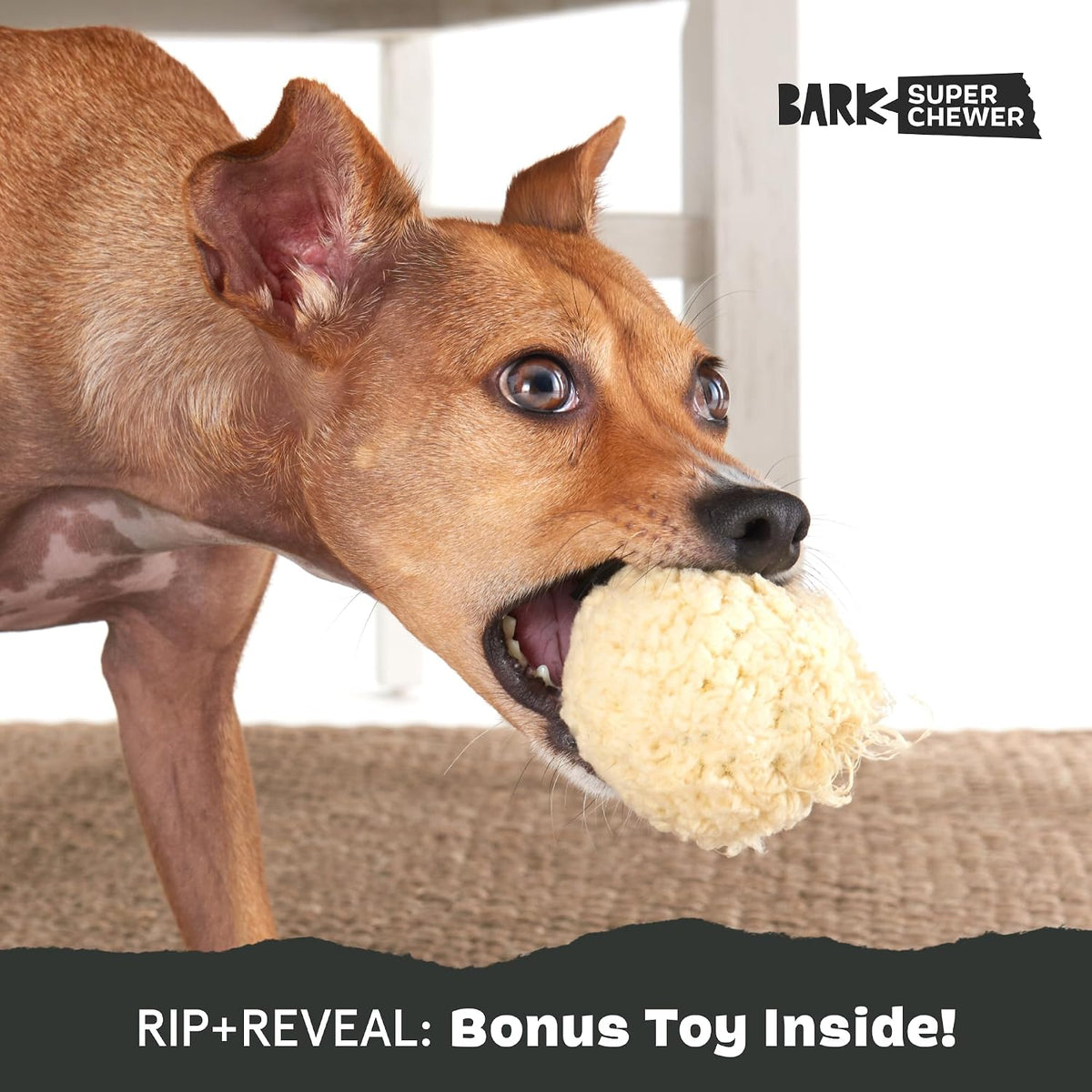 BARK Smashed Potato Super Chewer 2 in 1 Interactive Dog Toy