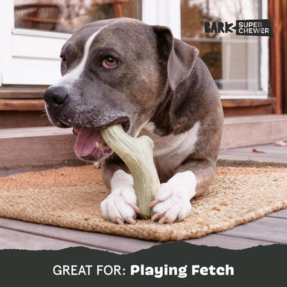 BARK Big Game Super Chewer Antler Dog Toy