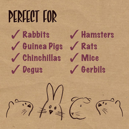 Naturals Herbs Plus Small Animal Treat