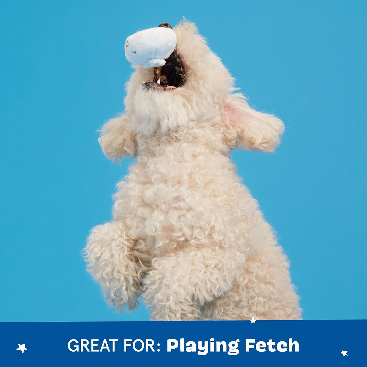 BARK Andi's Dumplings 4 in 1 Interactive Dog Toy