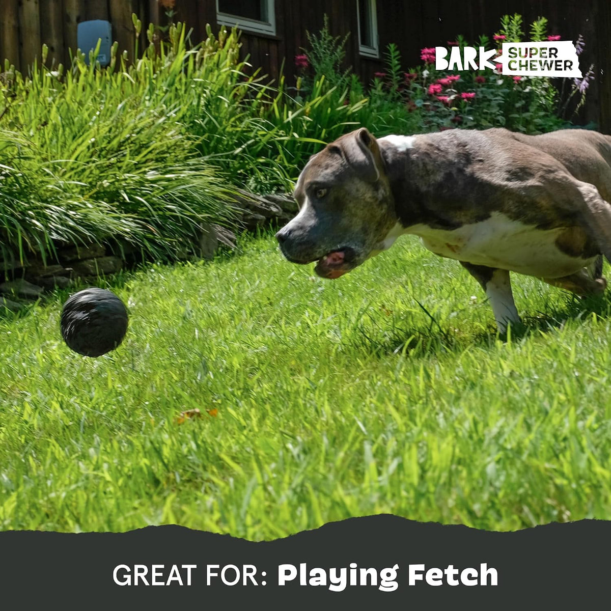 BARK Super Chewer Comet Textured Dog Toy