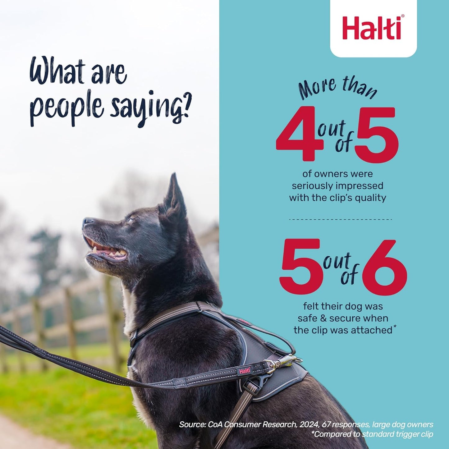 Halti BRIG Safety Dog Lead Black Large