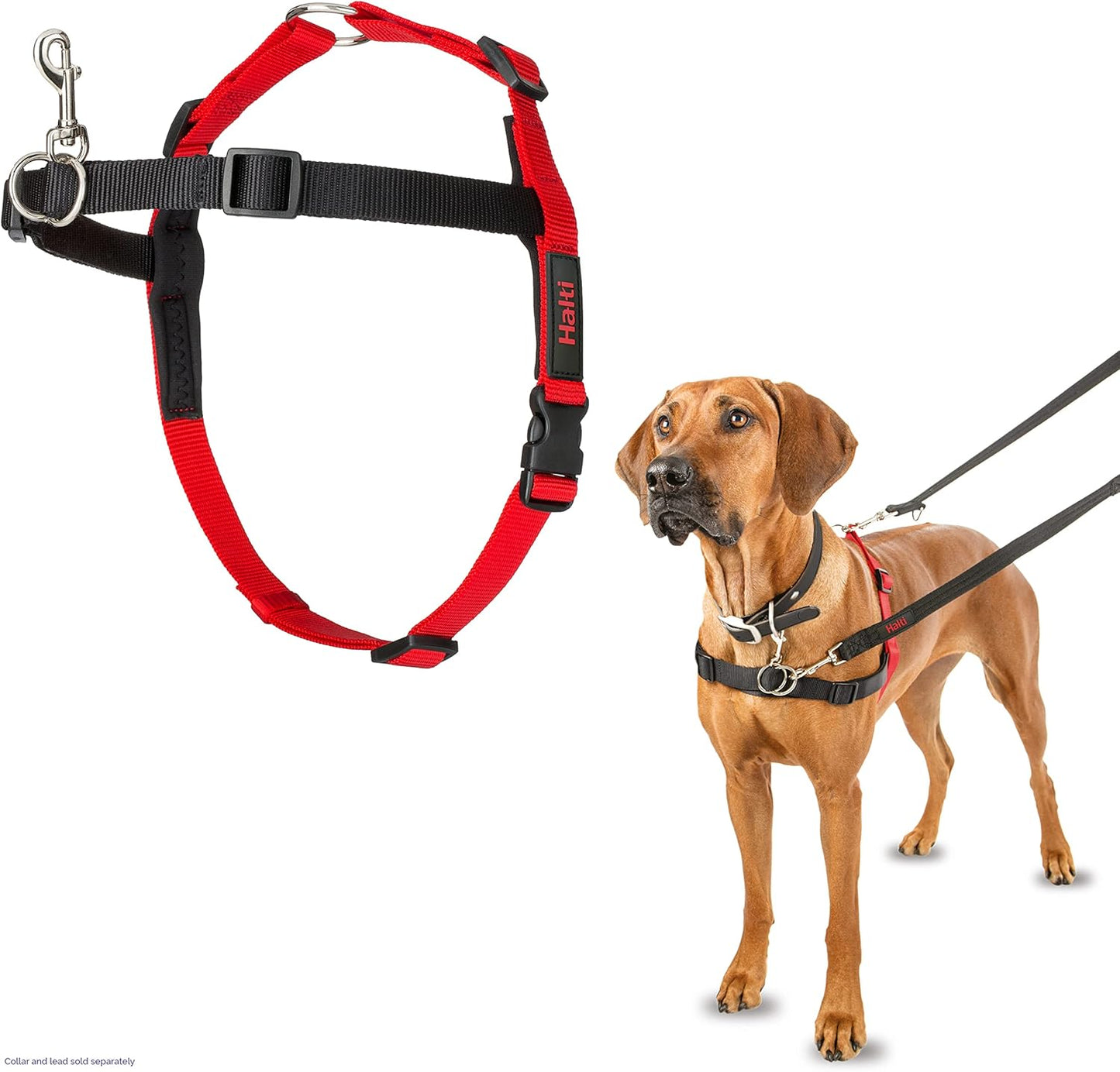 Halti Train Front Control Dog Training Harness