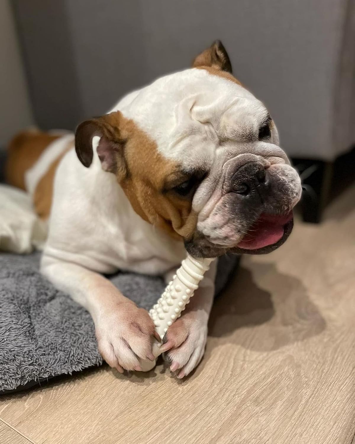 Nylabone Extreme Chew Textured Chicken