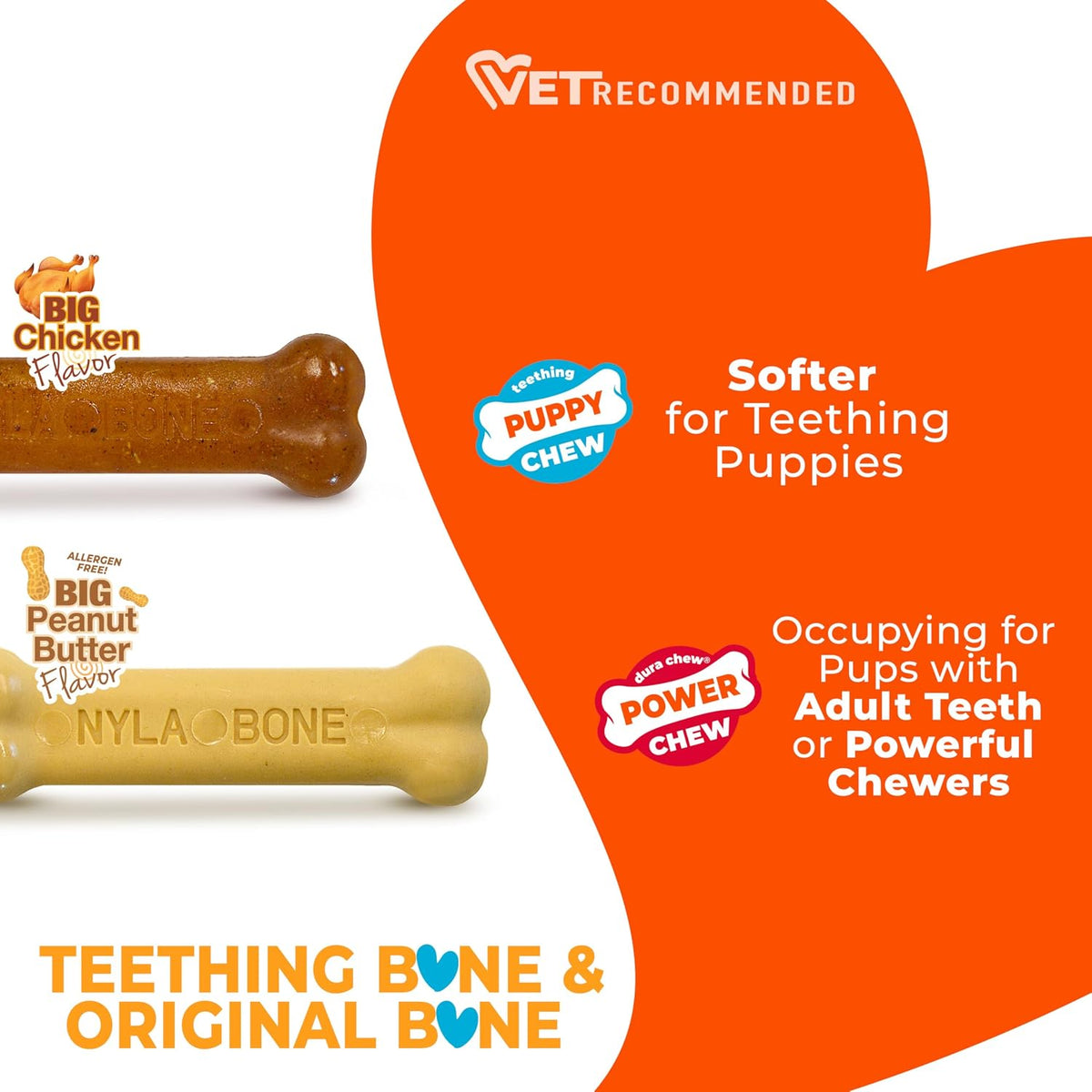 Nylabone Puppy Dura Chew Twin Pack Peanut Butter & Chicken