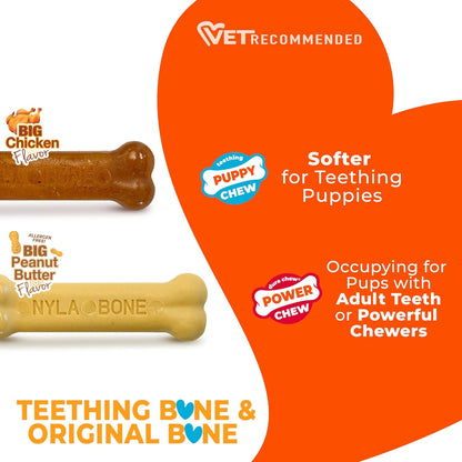 Nylabone Puppy Dura Chew Twin Pack Peanut Butter & Chicken