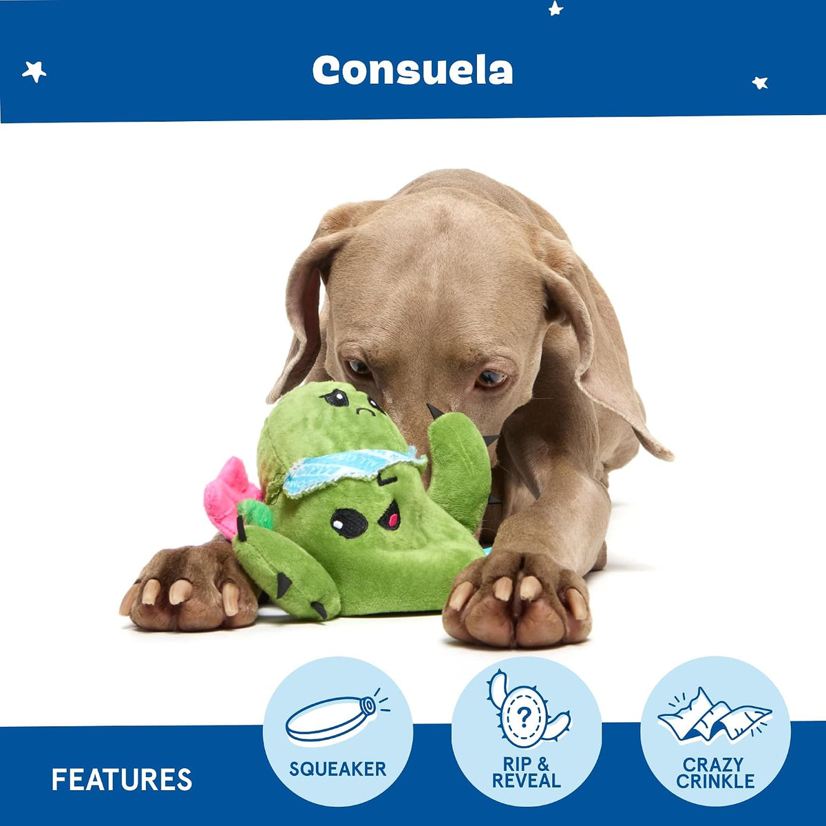 BARK Consuela The Cactus 2 in 1 Interactive Dog Toy
