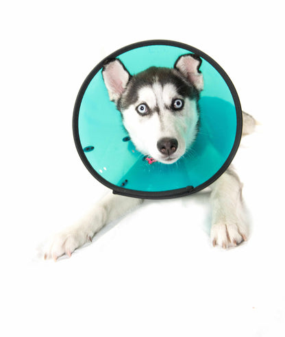 MDC Smart Collar for Dogs