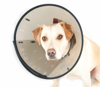 MDC Smart Collar for Dogs