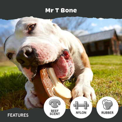 BARK Mr T Bone Super Chewer Large Dog Toy