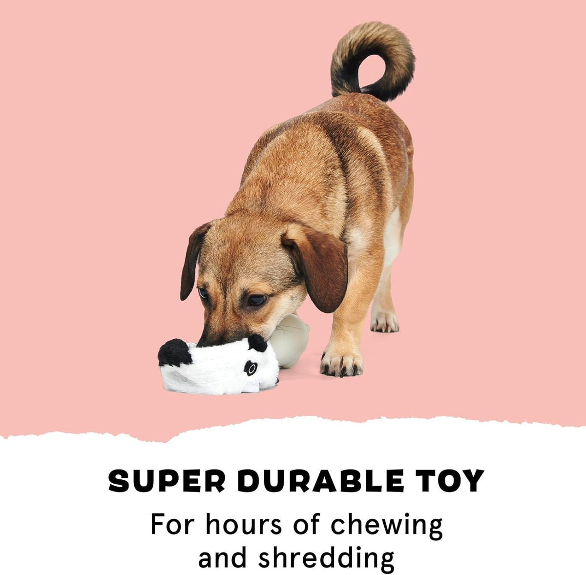 BARK Panda Super Chewer 2 in 1 Interactive Dog Toy