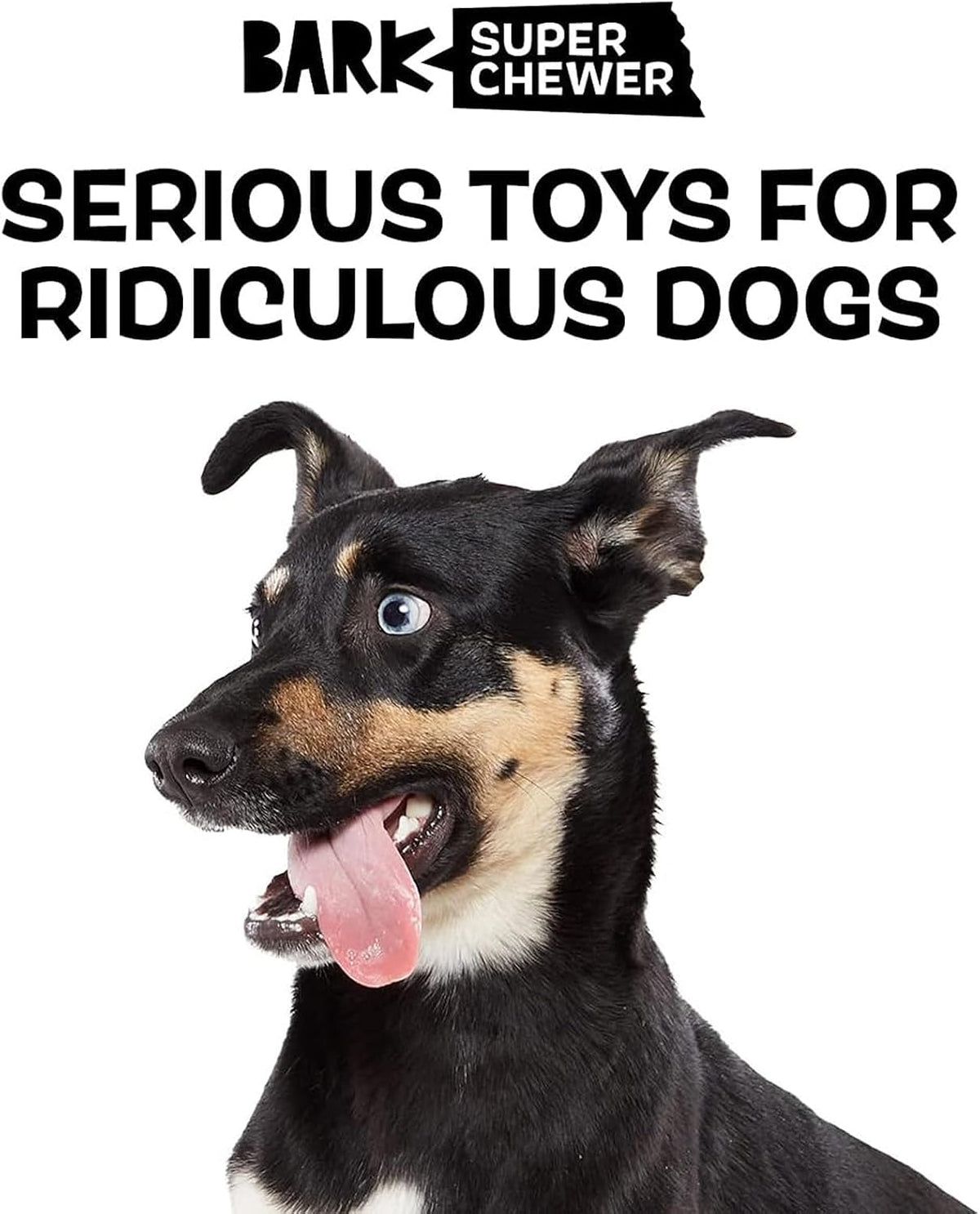 BARK Panda Super Chewer 2 in 1 Interactive Dog Toy