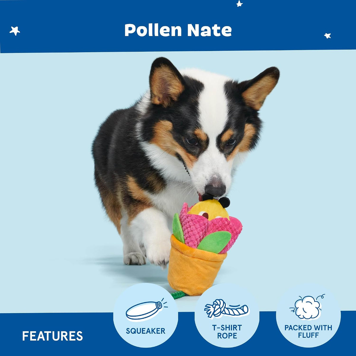 BARK Pollen Nate Tug Dog Toy