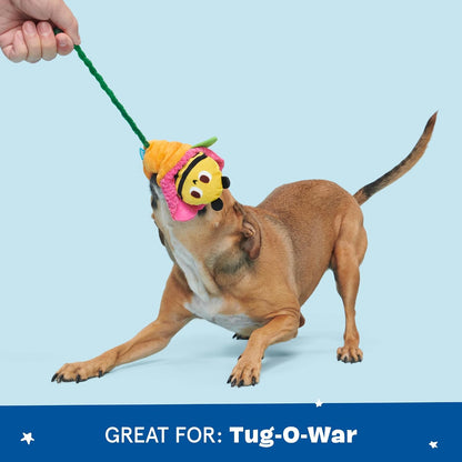 BARK Pollen Nate Tug Dog Toy