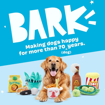 BARK Pollen Nate Tug Dog Toy