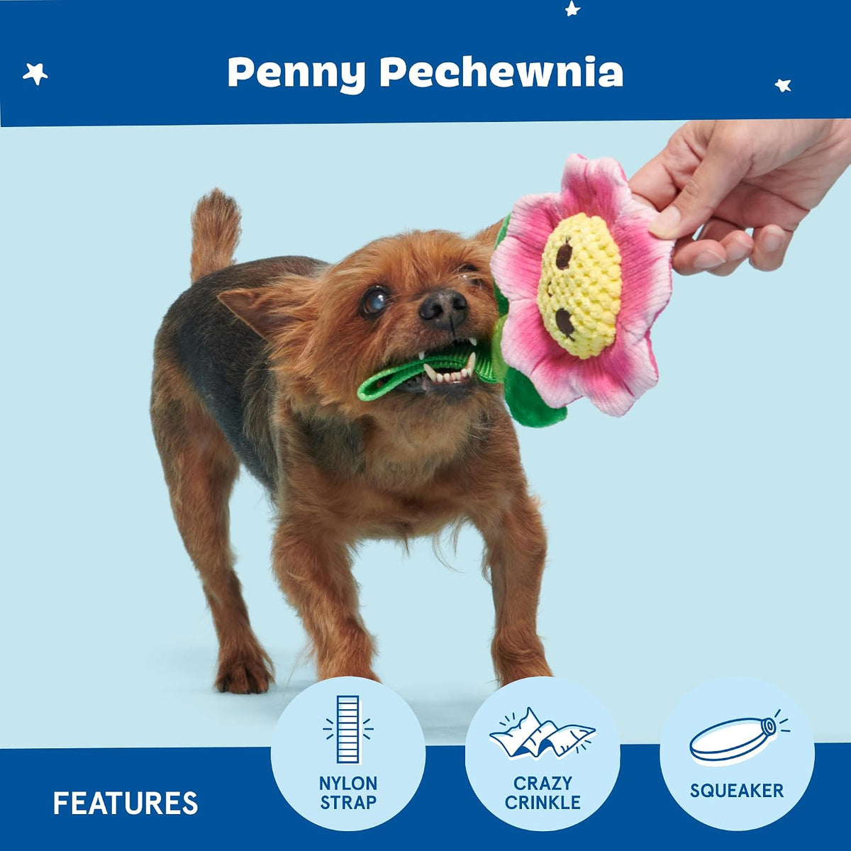 BARK Penny Pechewnia Textured Dog Toy