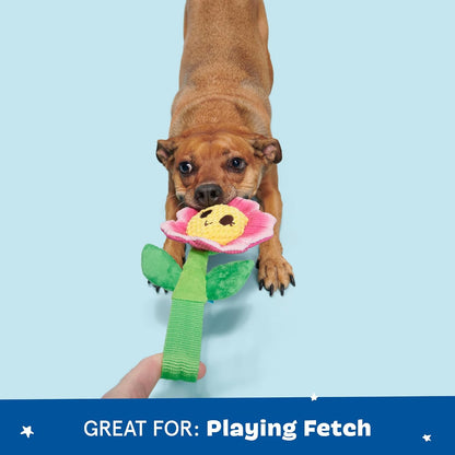 BARK Penny Pechewnia Textured Dog Toy