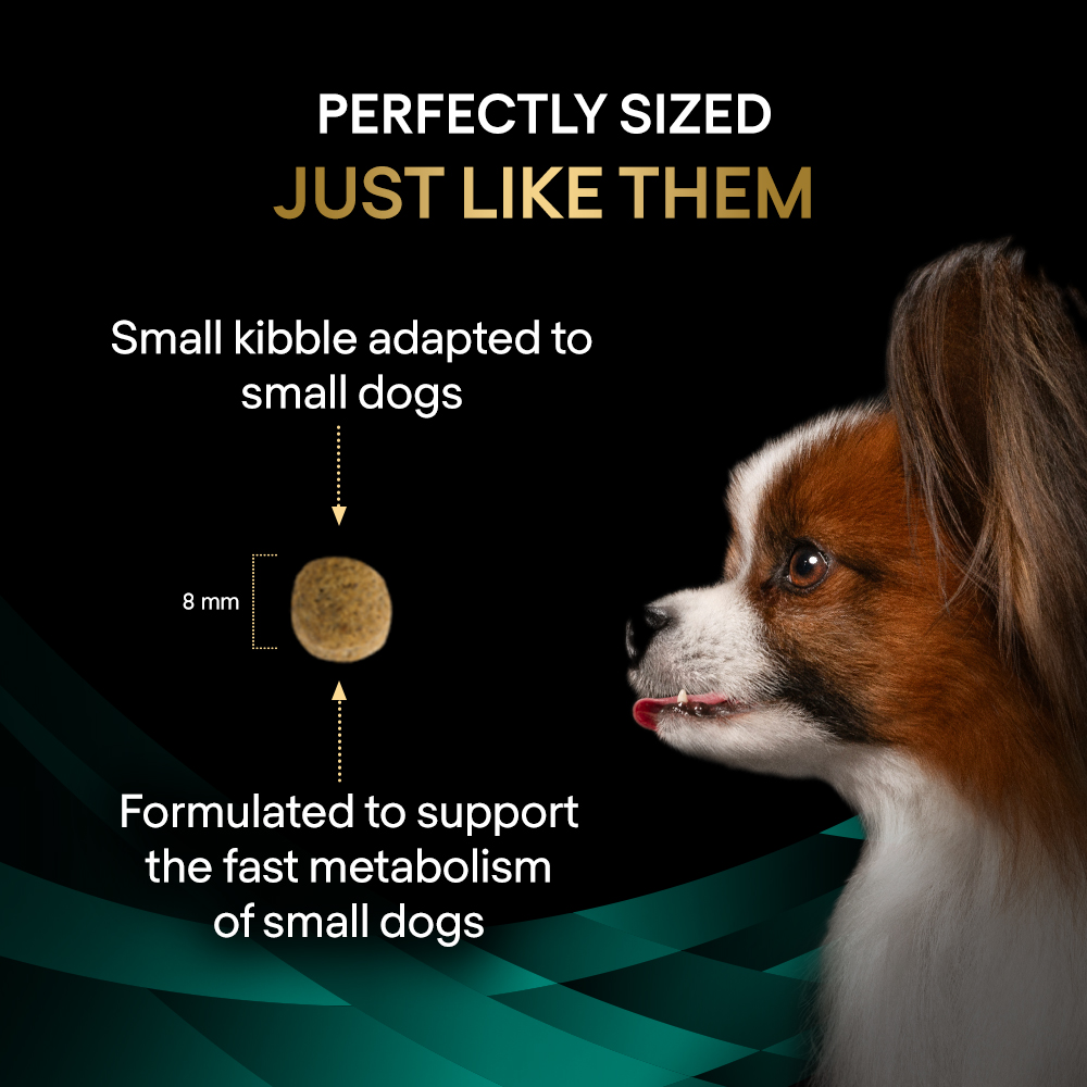 Purina Pro Plan Veterinary Diets EN Canine St/Ox Gastrointestinal Small & Mini Puppy & Adult Dry Dog Food