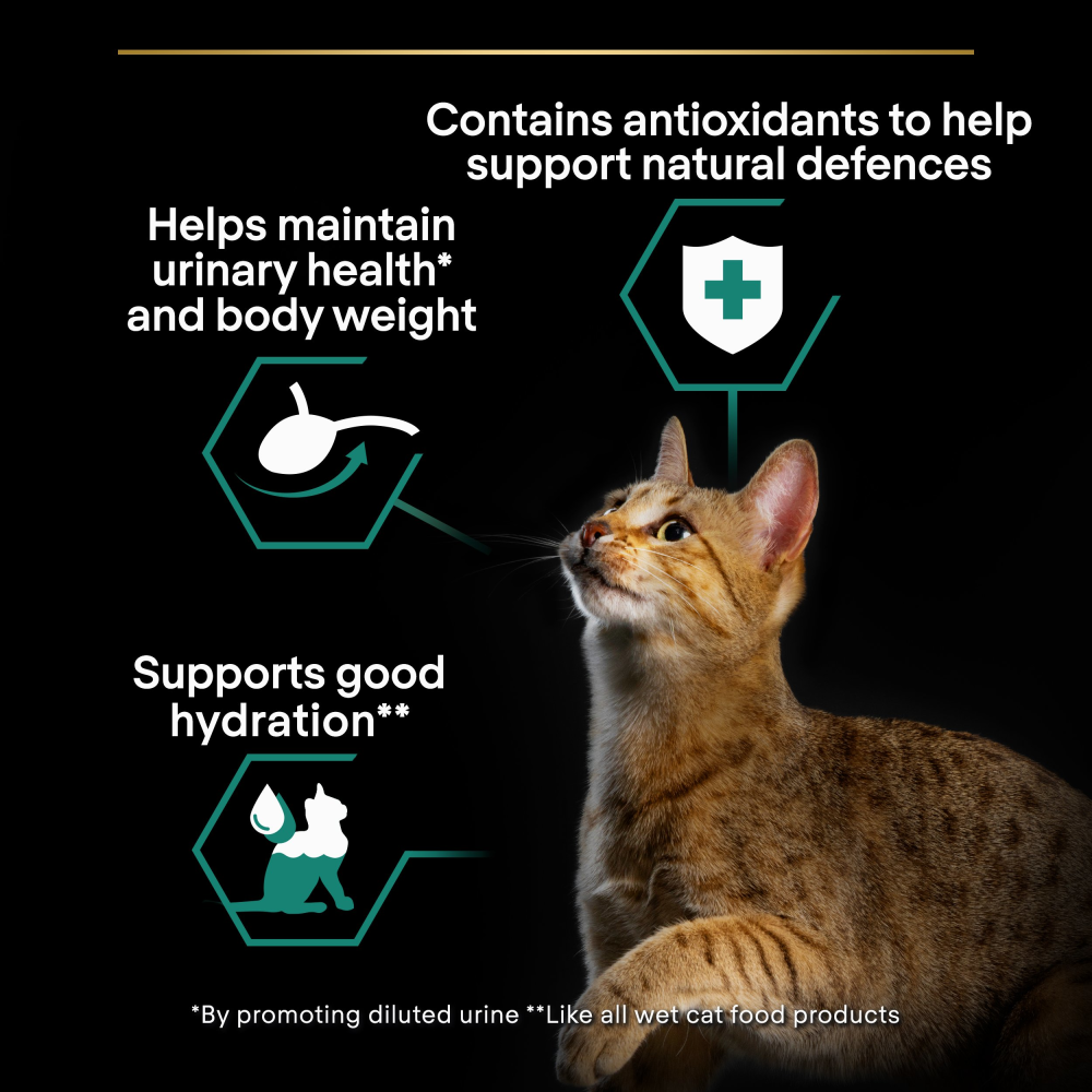 Pro Plan Sterilised Beef & Chicken in Gravy Adult Wet Cat Food