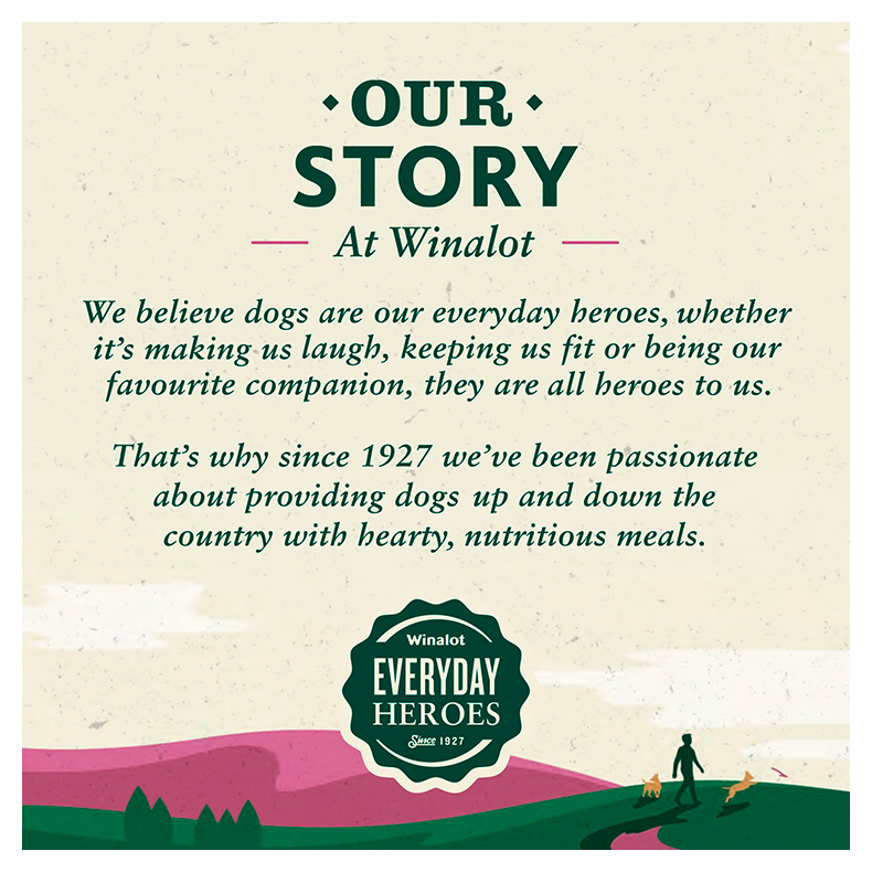 Winalot Classics Mixed Meat in Jelly Can Adult Wet Dog Food