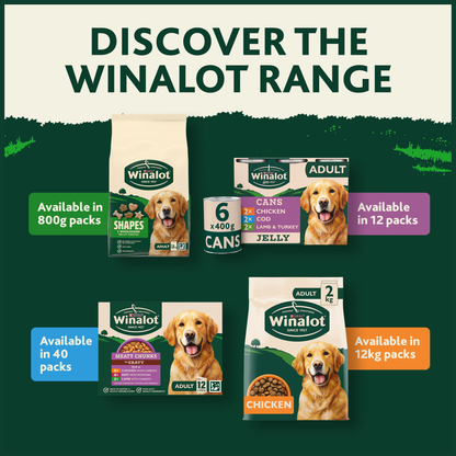 Winalot Adult Dry Dog Food with Salmon