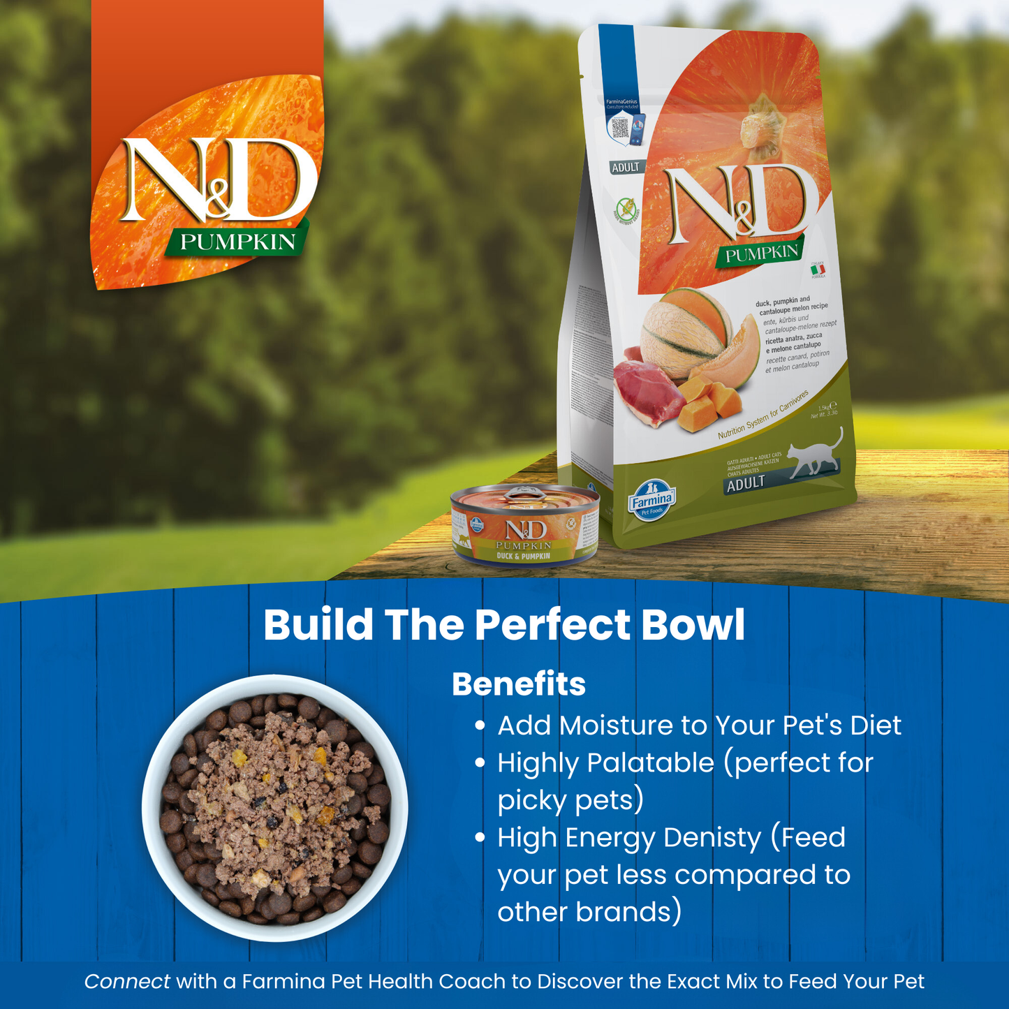 N&D Pumpkin Adult Wet Cat Food - Duck & Pumpkin