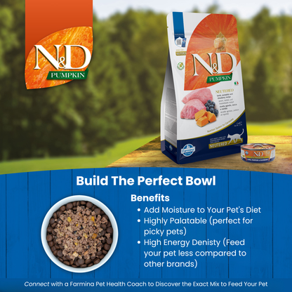 N&D Pumpkin Adult Wet Cat Food - Lamb, Pumpkin & Blueberry