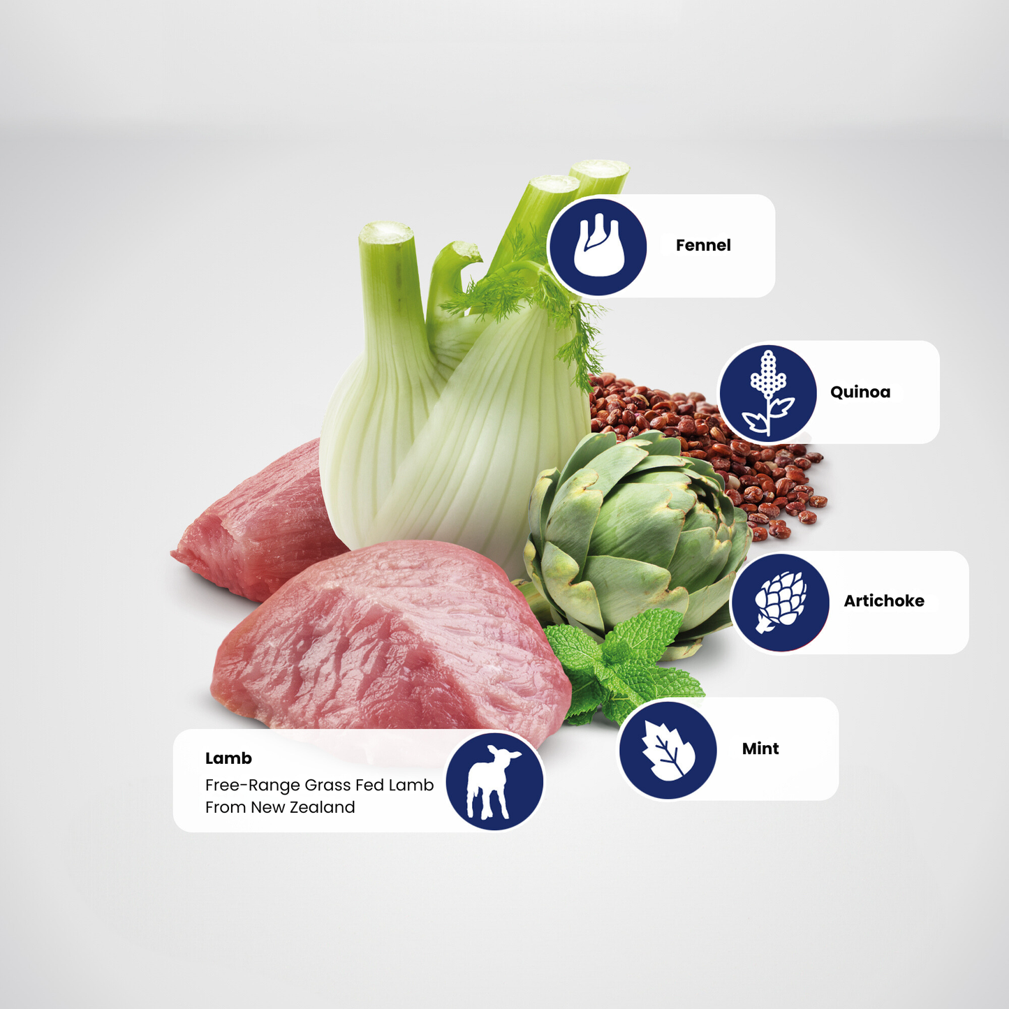 N&D Quinoa Digestion Adult Wet Cat Food